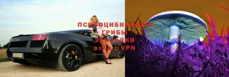 МЕГА как войти  Шадринск  Псилоцибиновые грибы Cubensis 